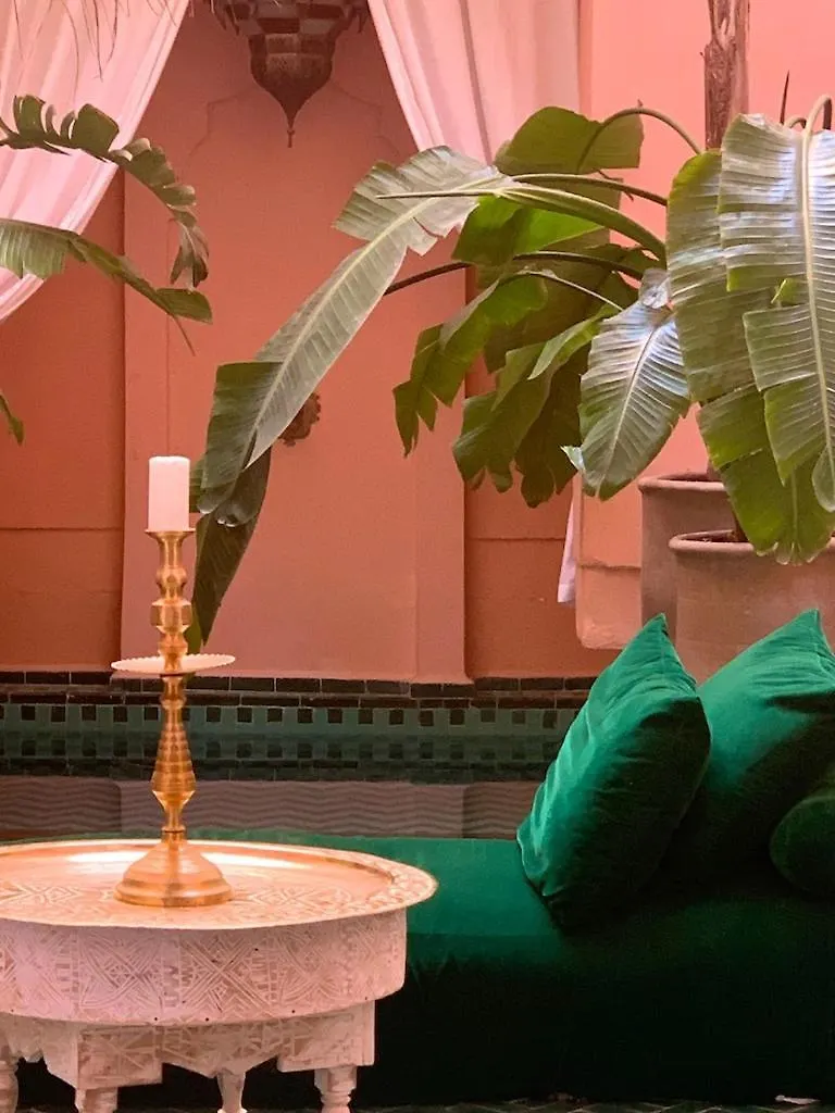 The Bohemian Jungle location