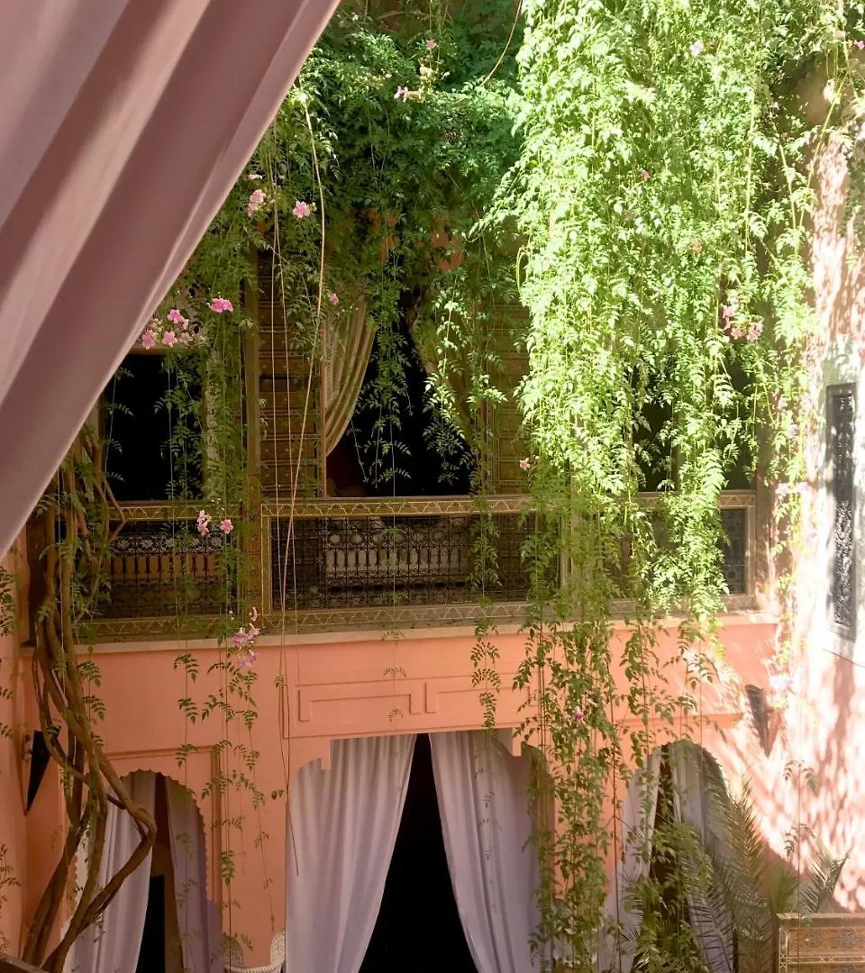 The Bohemian Jungle Panzió Marrákes Marokkó