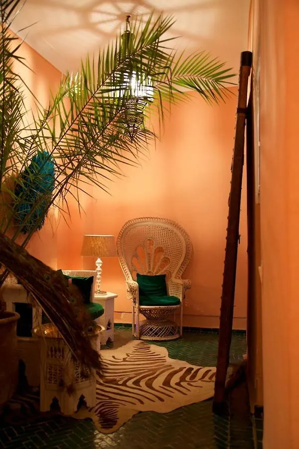 The Bohemian Jungle Panzió Marrákes