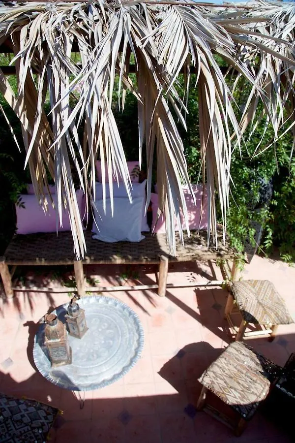 The Bohemian Jungle Panzió Marrákes