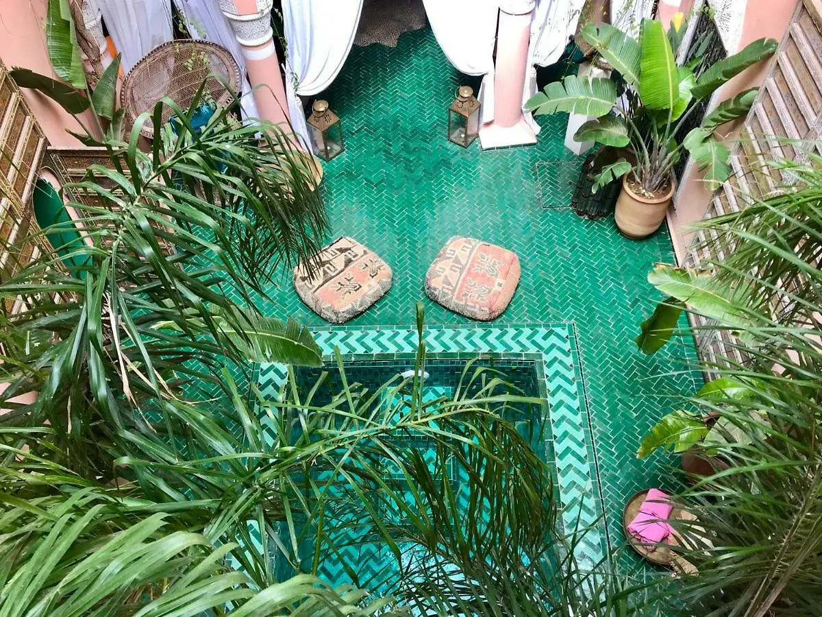 The Bohemian Jungle Panzió Marrákes