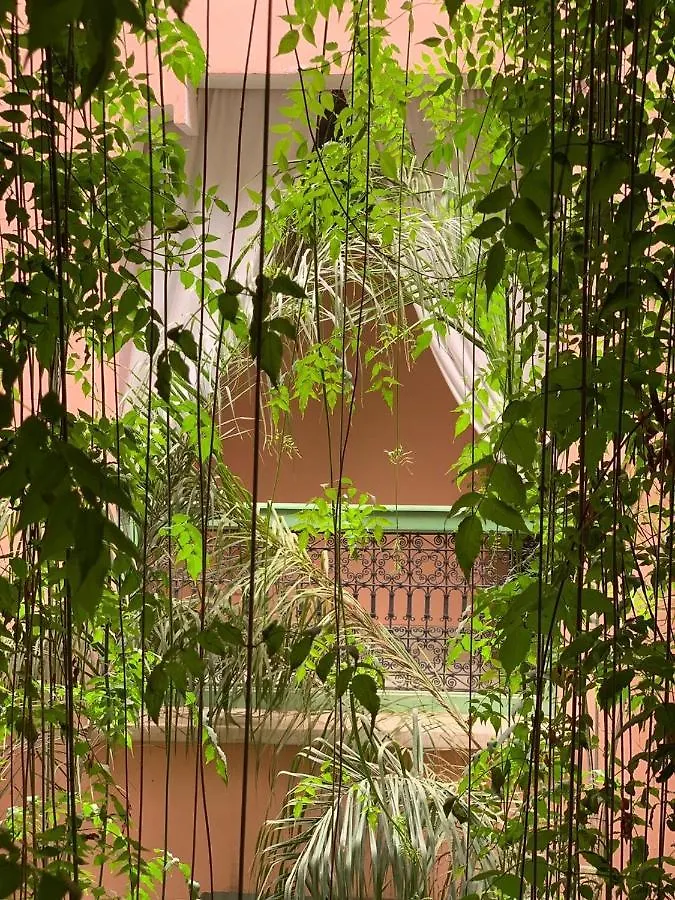 Couette-café Bed and Breakfast The Bohemian Jungle à Marrakesh