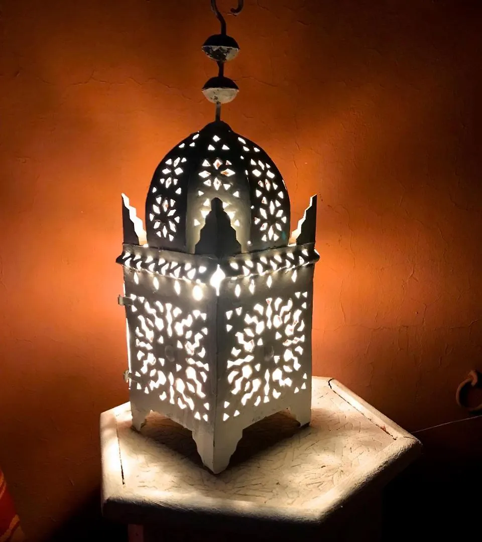 Bed and Breakfast The Bohemian Jungle à Marrakesh 0*,