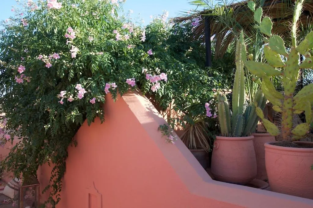 Bed and Breakfast The Bohemian Jungle à Marrakesh 0*,  Maroc